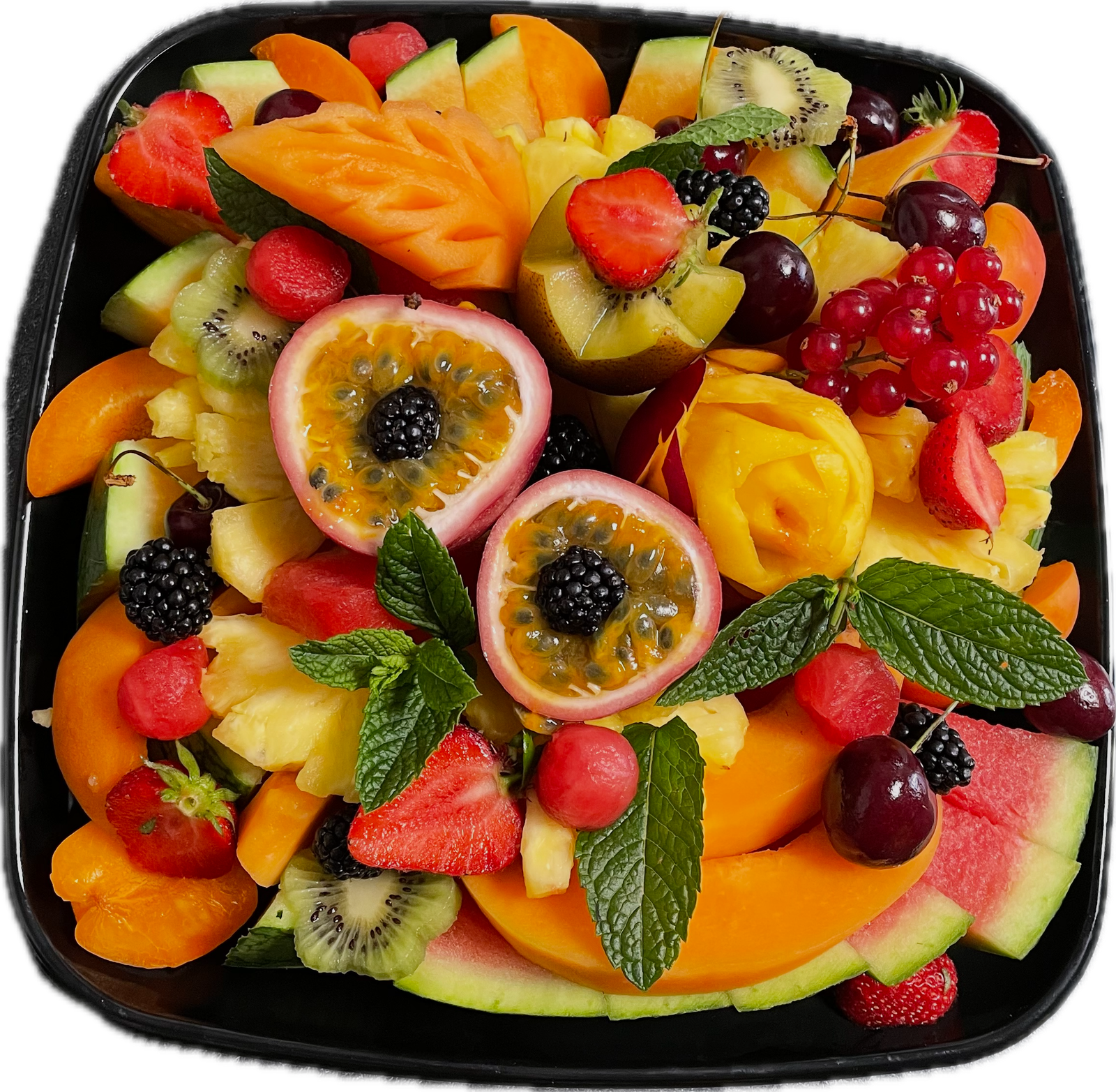 Daily Fresh - Taille L